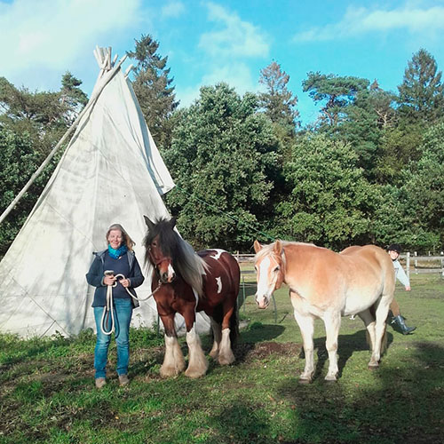 Heike Welp, Reittherapie für Kinder und Erwachsene, in Wanna bei Cuxhaven, Niedersachsen