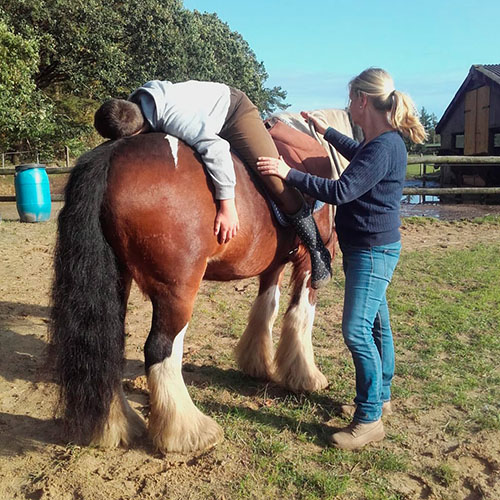 Heike Welp, Reittherapie für Kinder und Erwachsene, in Wanna bei Cuxhaven, Niedersachsen
